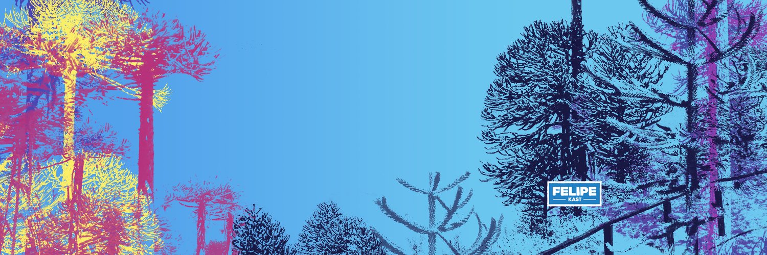 FelipeAraucania's profile banner image