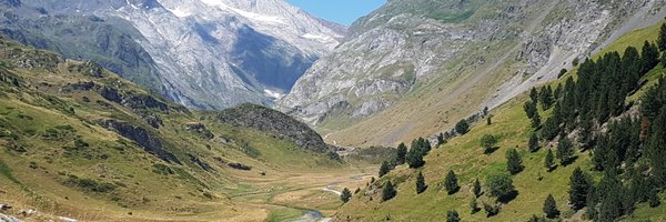 simon_r_myers Profile Banner