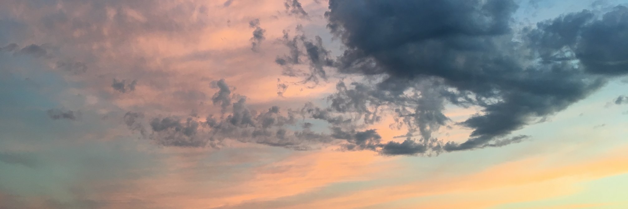 ErinFilley's profile banner image