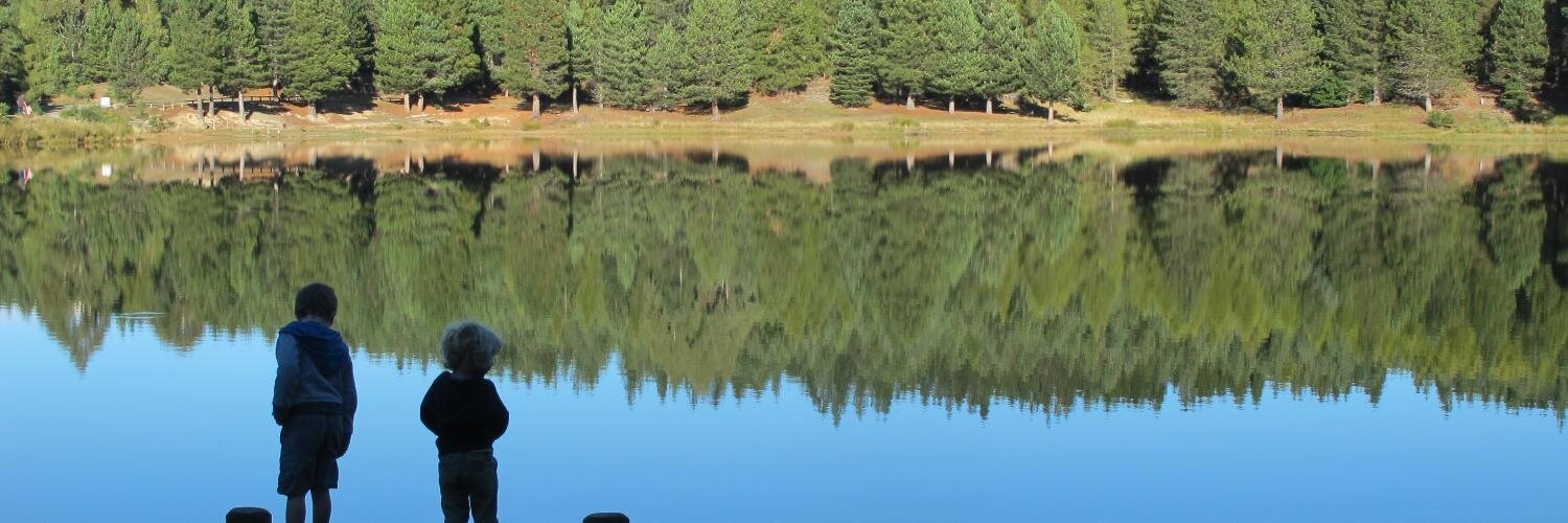 LightweightMastodon banner