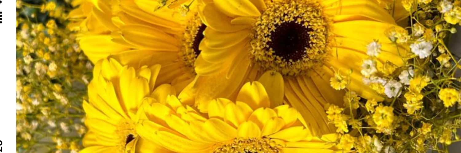 caal0314's profile banner image