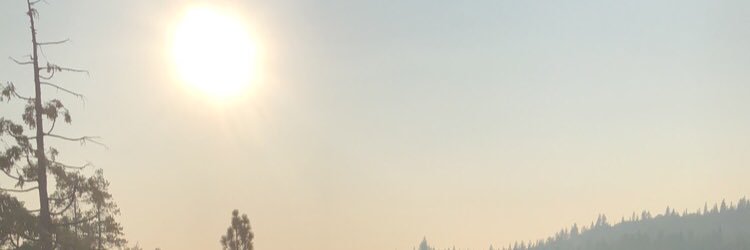 Dimitry banner