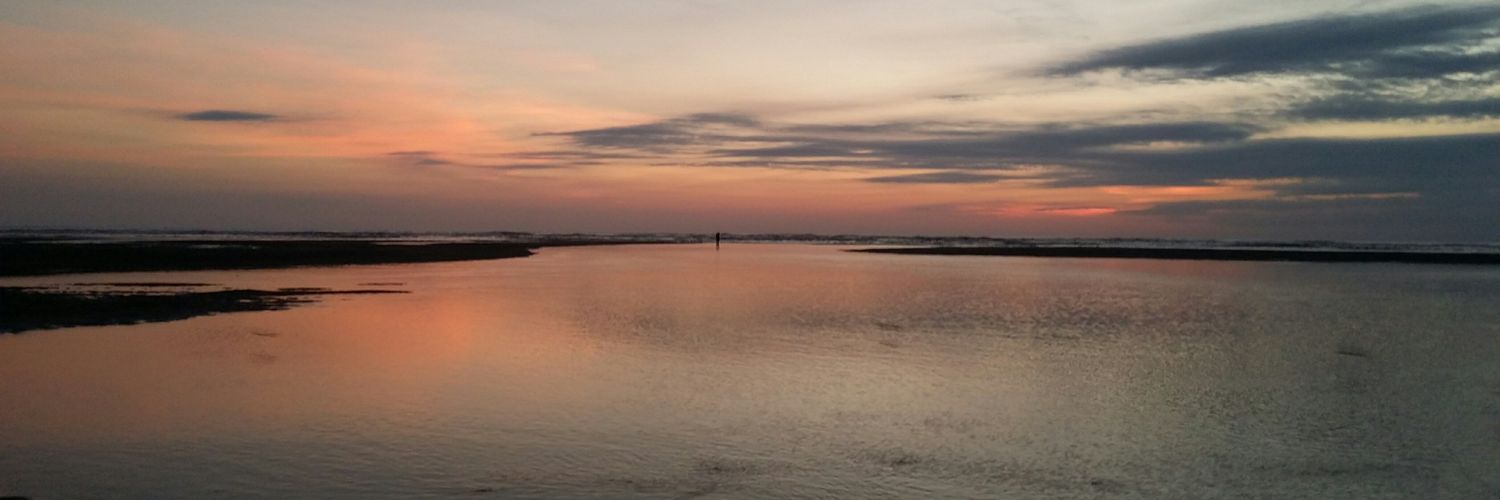 Ynot2226's profile banner image