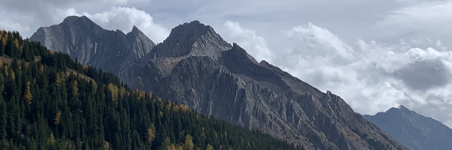 CGerdung's profile banner image