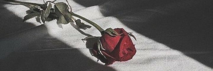 itsnotemaya's profile banner image