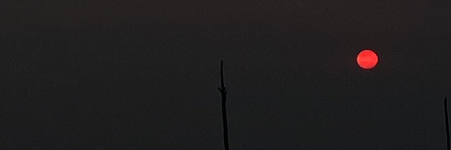 Luchis banner