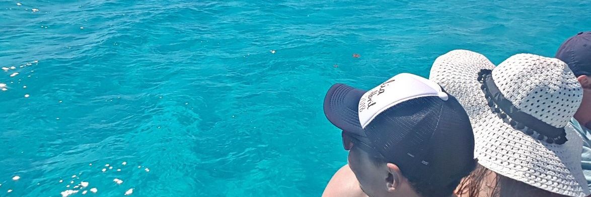 ComDimasandres1's profile banner image