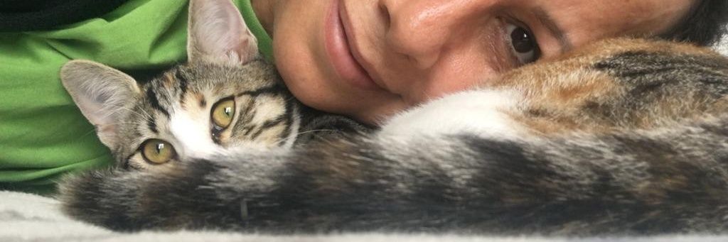 sevimarikann's profile banner image