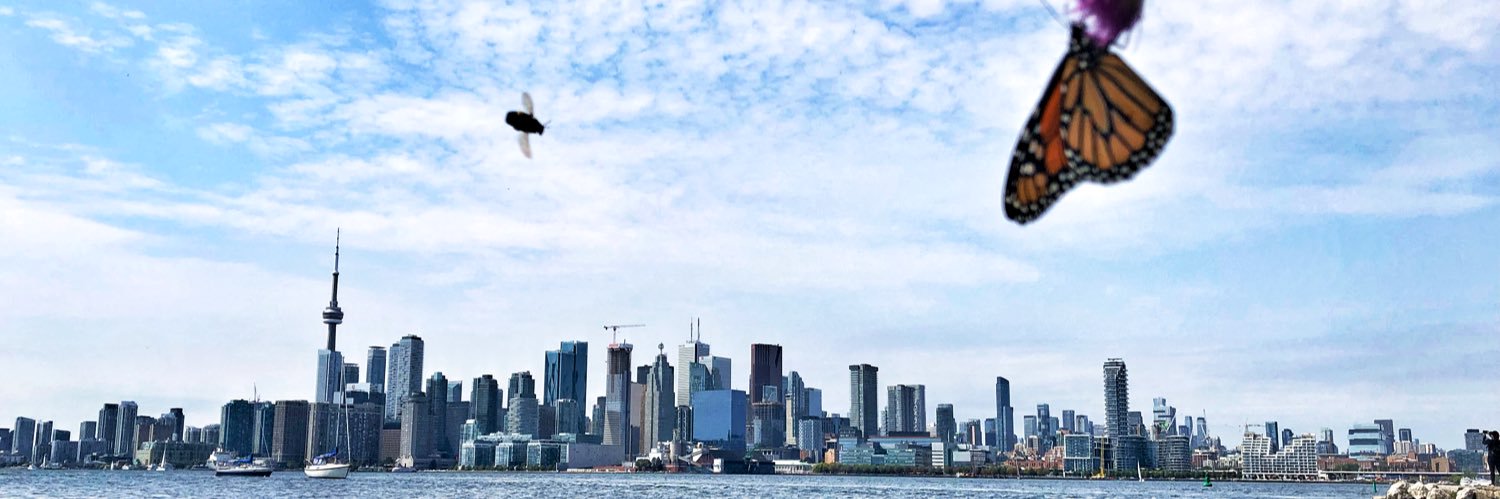 Katherine Balpataky banner