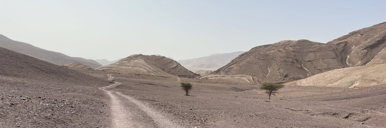 mlatsone's profile banner image