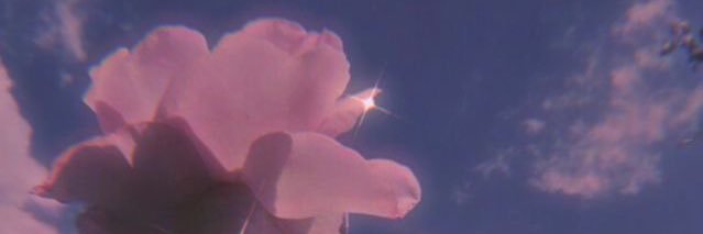 BreeeMarie__'s profile banner image