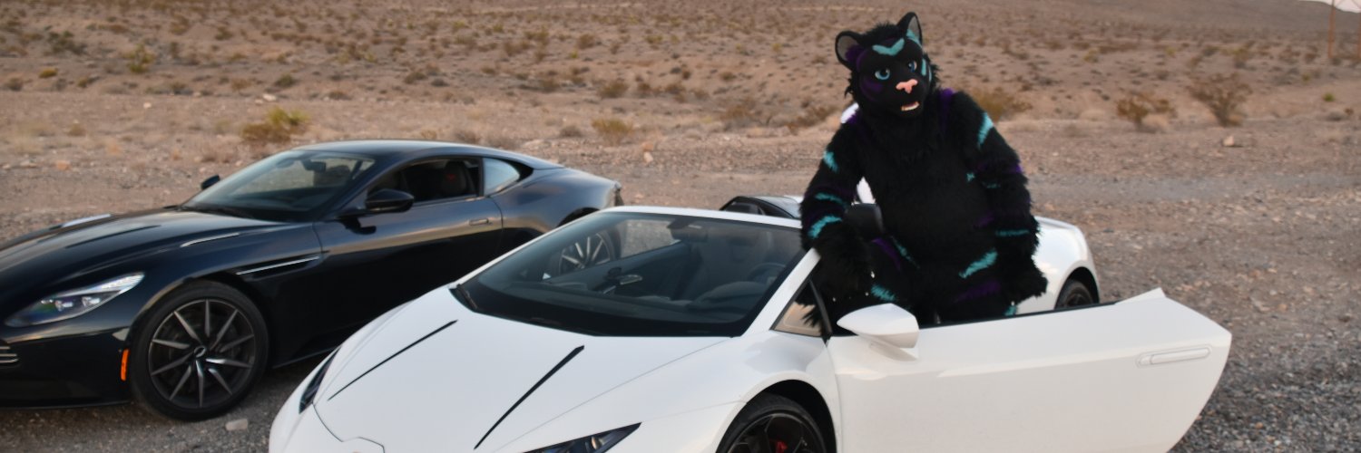 ShadowKat2K's profile banner image