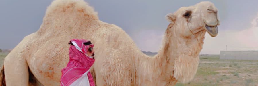 mnef690's profile banner image