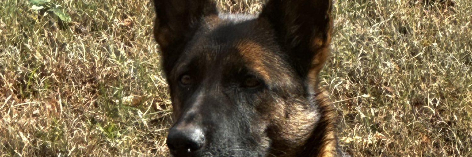 darrell miller  banner