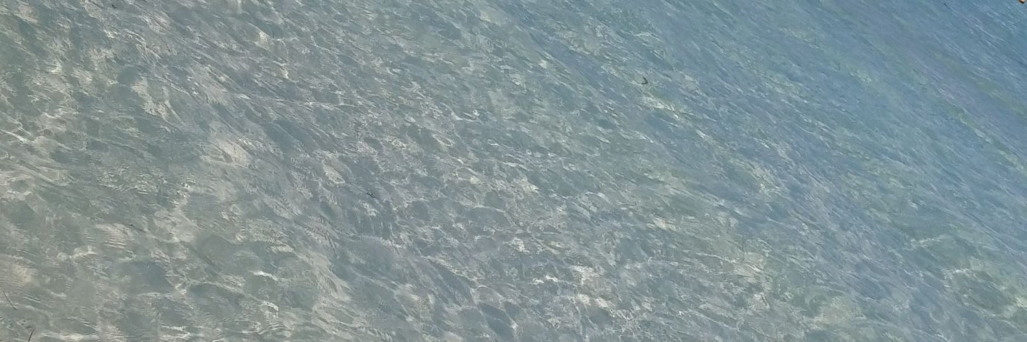 Katya_or's profile banner image