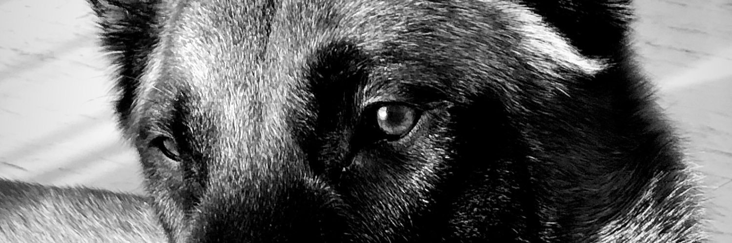 StacyV02's profile banner image