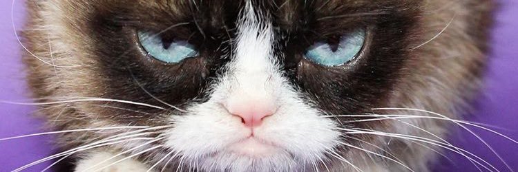 cfranchesca's profile banner image
