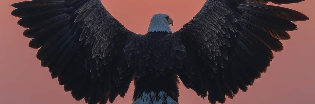 serhatdogan81's profile banner image