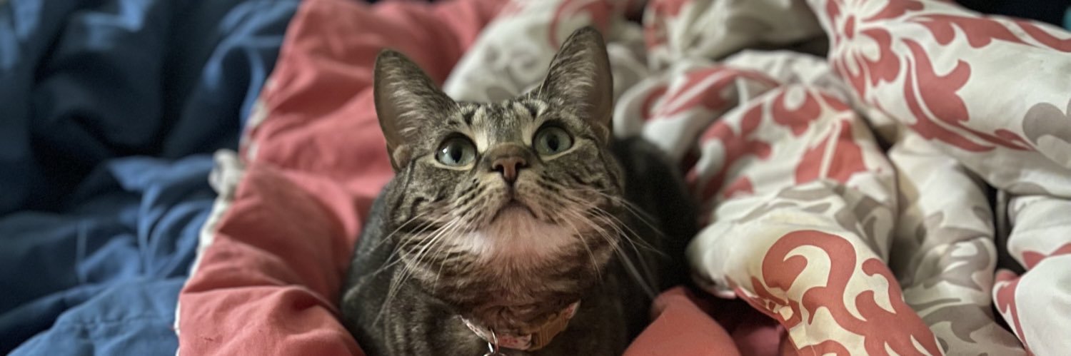 LilChewna's profile banner image