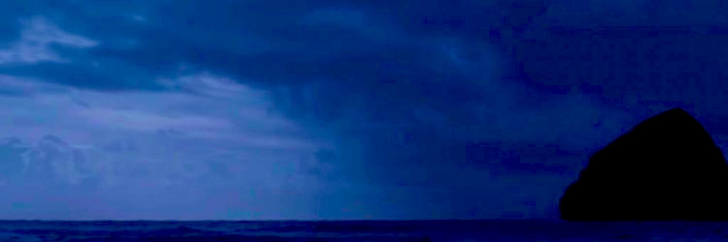 lili01__'s profile banner image