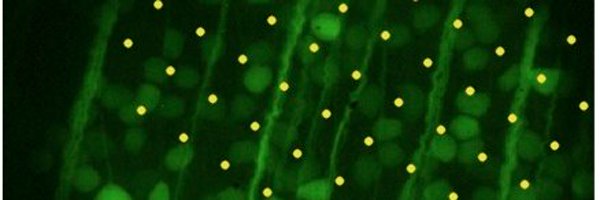 RetinaGeek Profile Banner