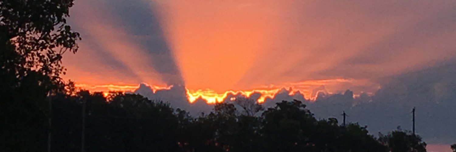 desifauver's profile banner image