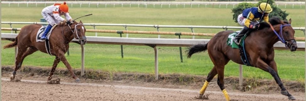 Evans Thoroughbred Racing banner