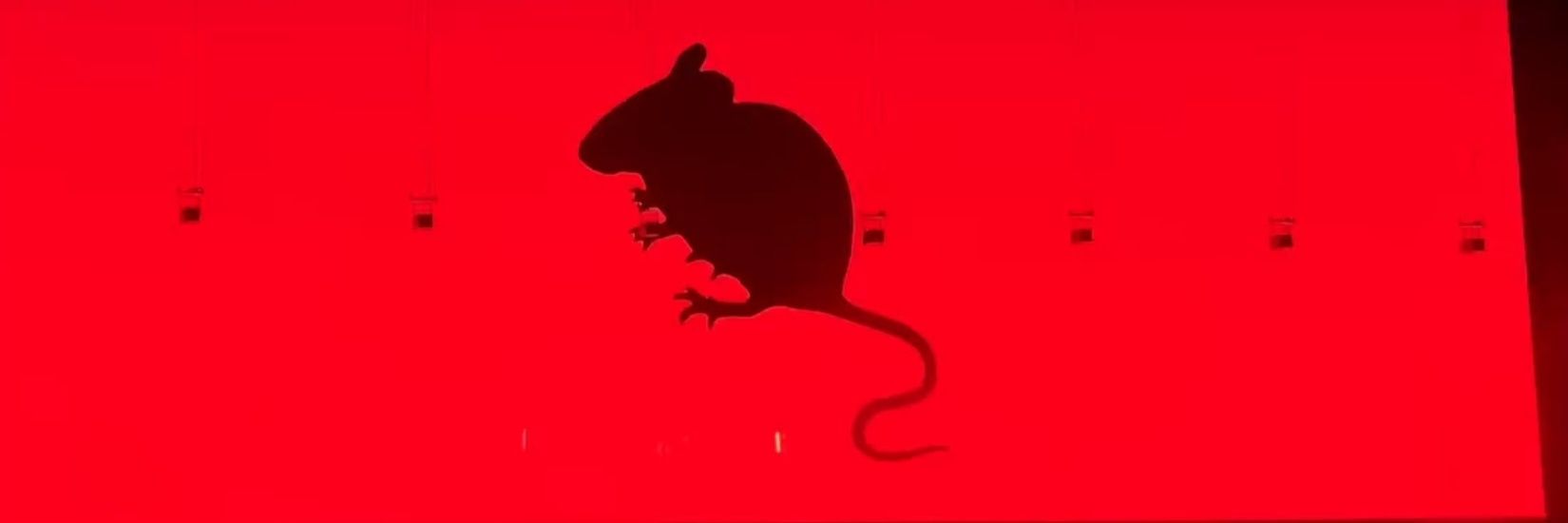 CirezDanDM's profile banner image