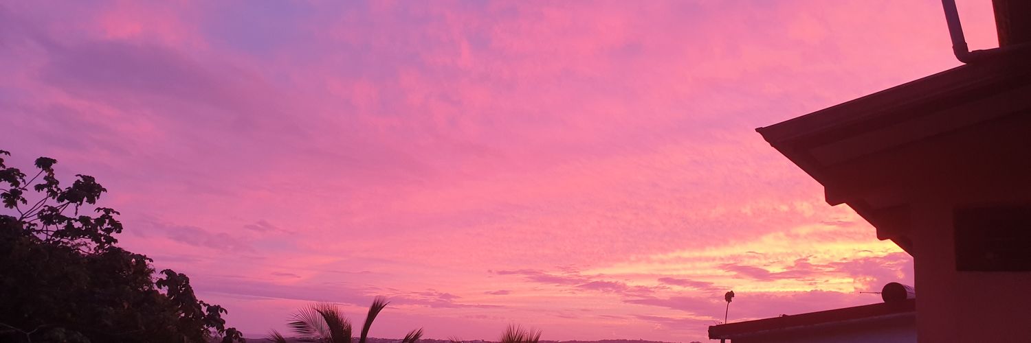 Emy972's profile banner image
