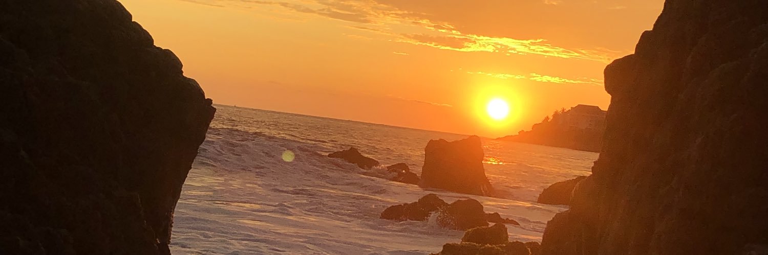 brendapinaless's profile banner image