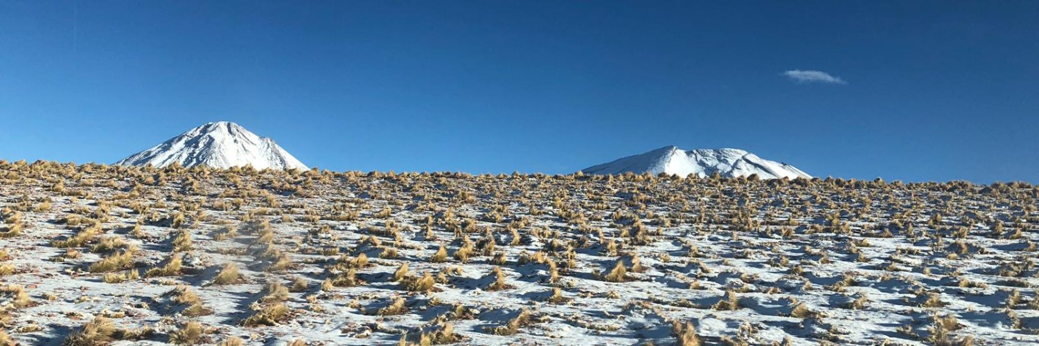 elisa facchetti banner