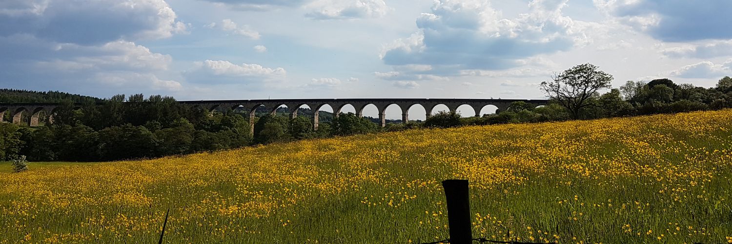 Robyn Precious (He/Him) 🏳️‍⚧️ banner