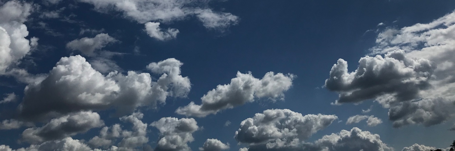 ad fontes |'s banner