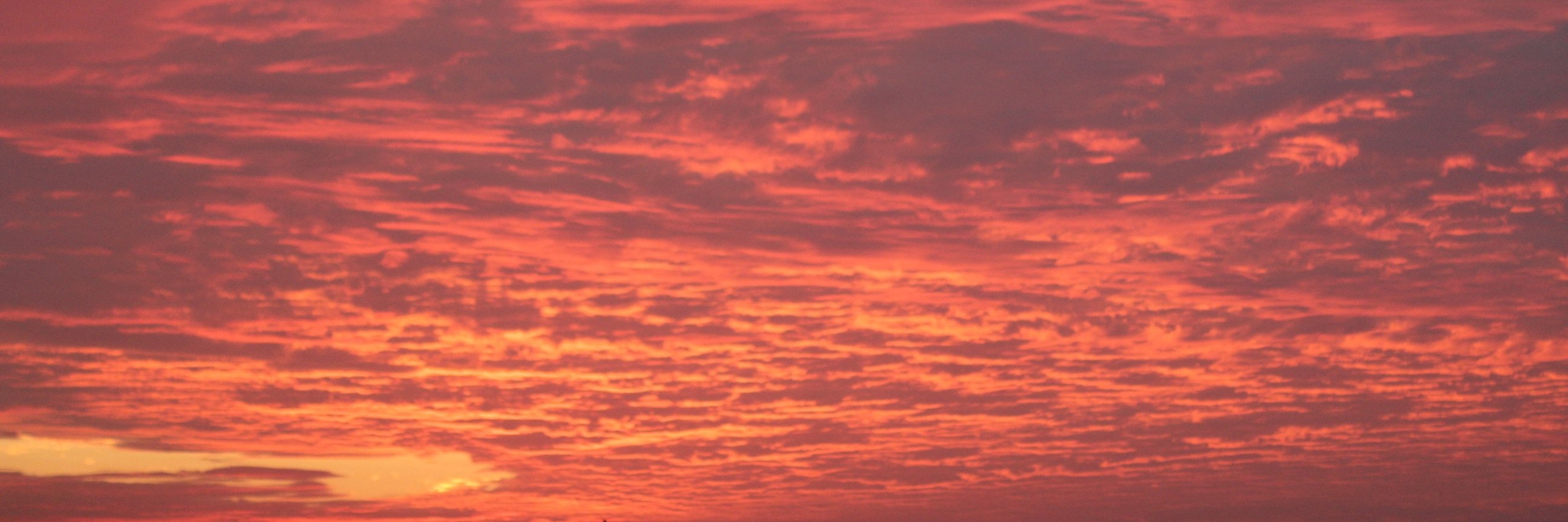 cpetersen's profile banner image