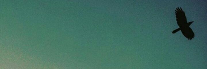 Ghazal Hashmi banner
