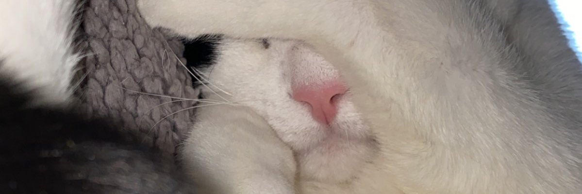 LPR_17's profile banner image