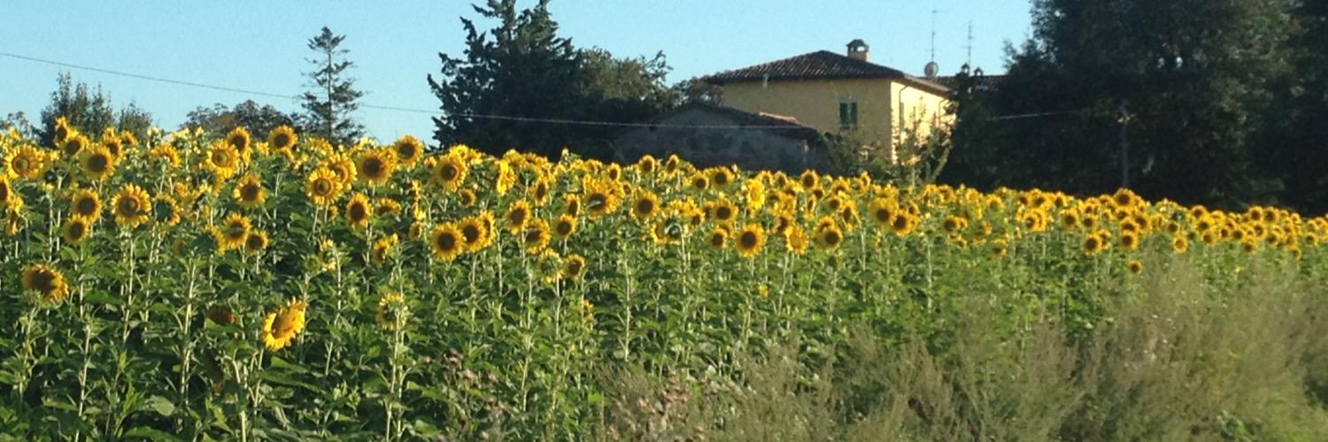 valenti_giulia's profile banner image