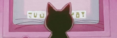 punkreepy's profile banner image