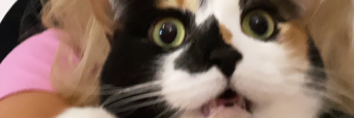 kat_mcnab's profile banner image