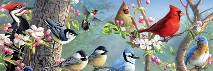 Orestemanileste's profile banner image