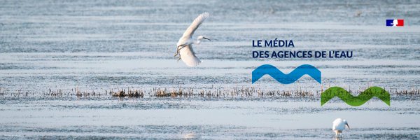 EnImmersion Profile Banner