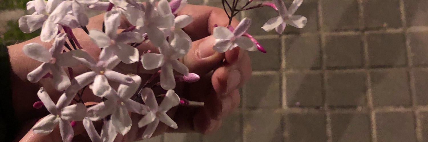 Iset🍍 banner
