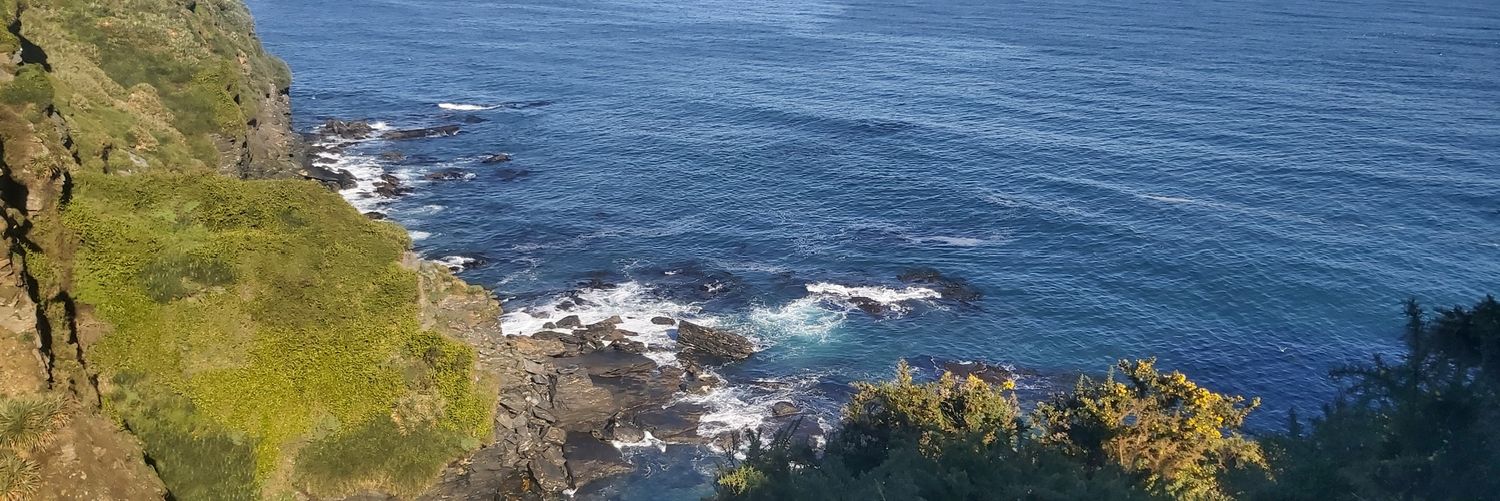 Patrickpatogeno's profile banner image