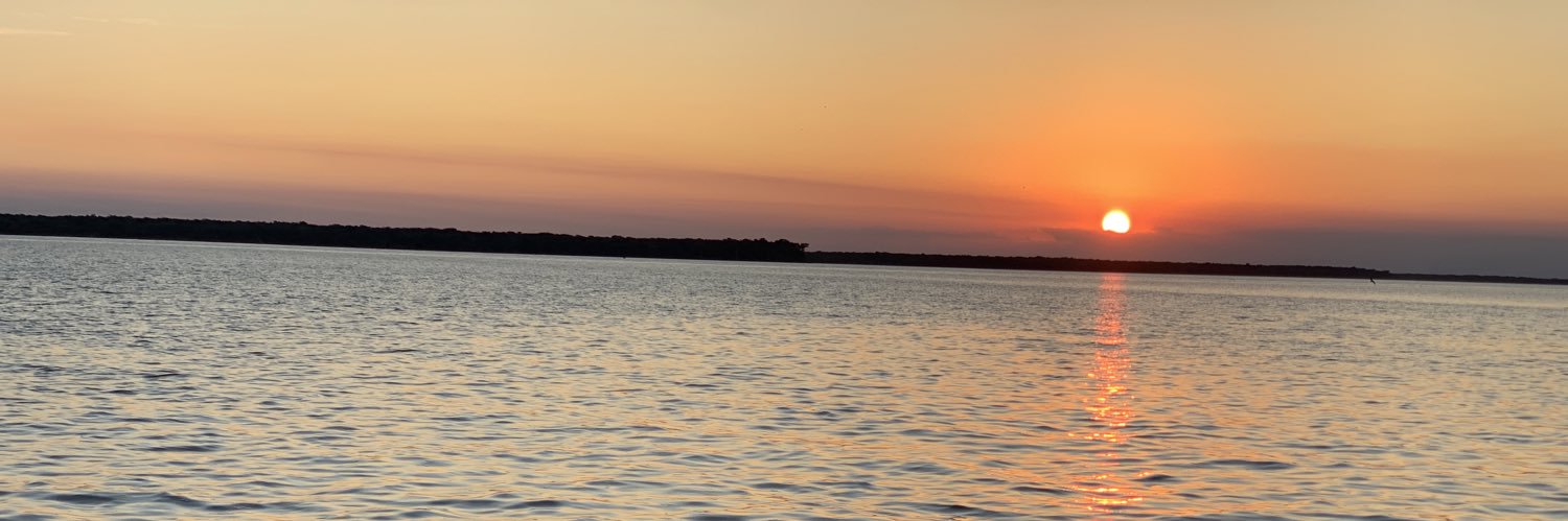 Alicia Iglesias banner