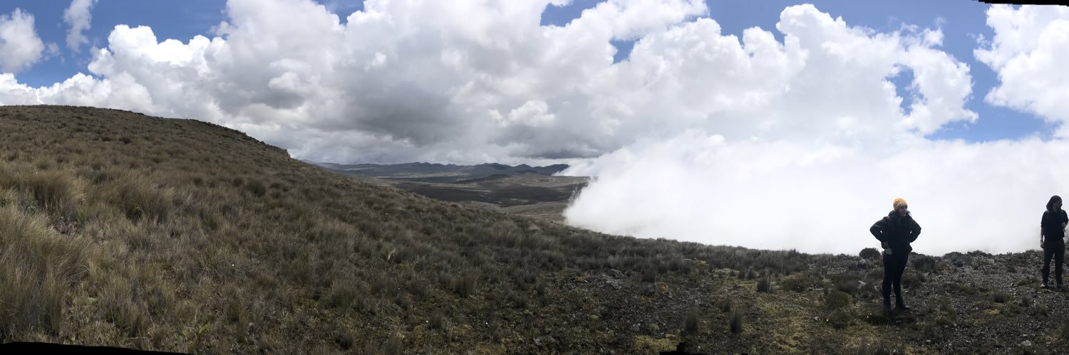 Ana Elizabeth Ochoa-Sánchez 💚💜 banner