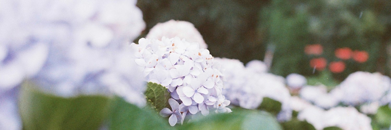 Vichawan (Print) Sakulsupich banner