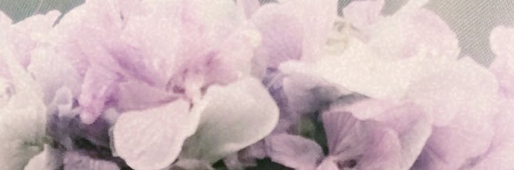 filipa_star's profile banner image