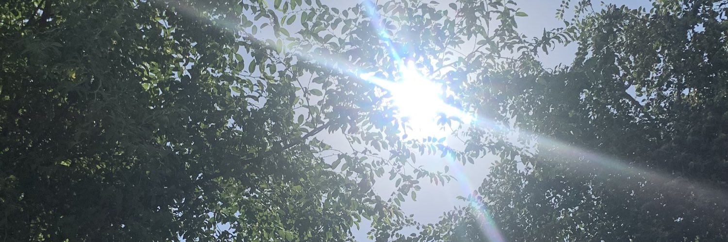 ciiopii's profile banner image
