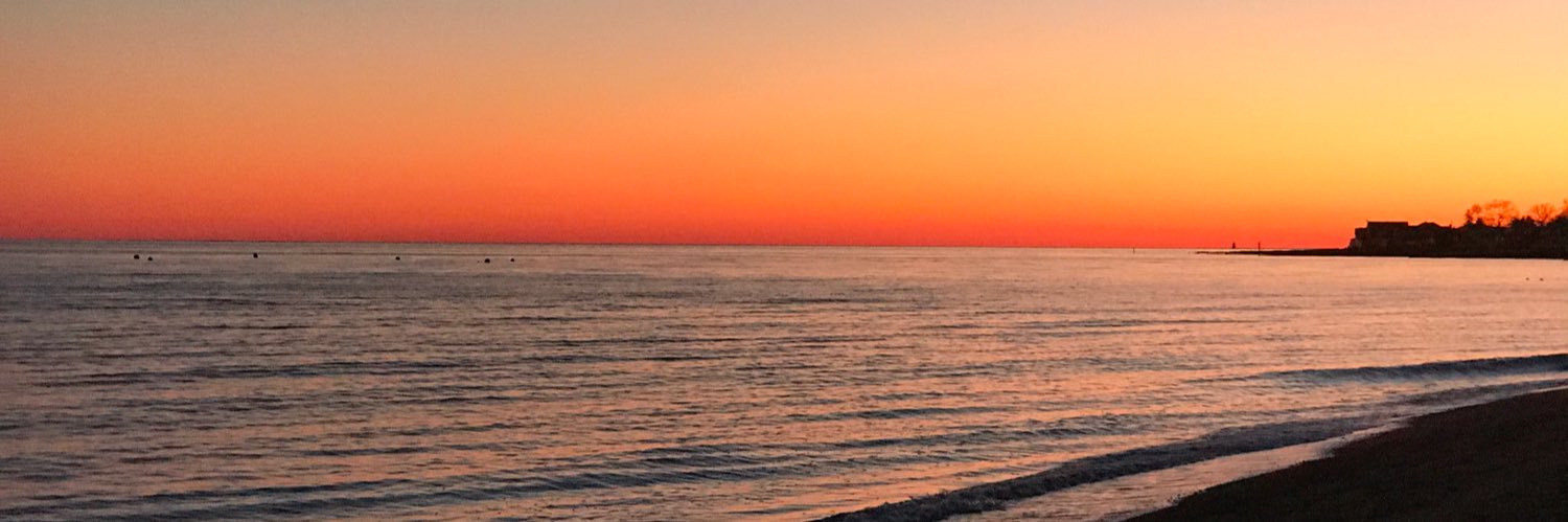 DariaDiMatteo18's profile banner image