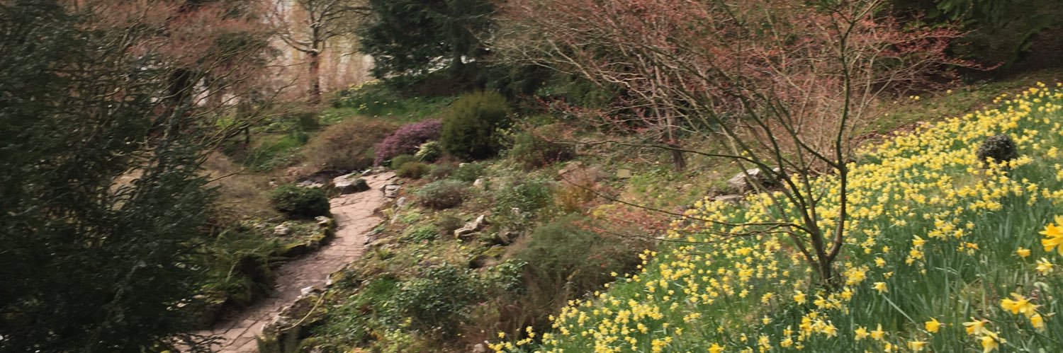 Sericulus's profile banner image